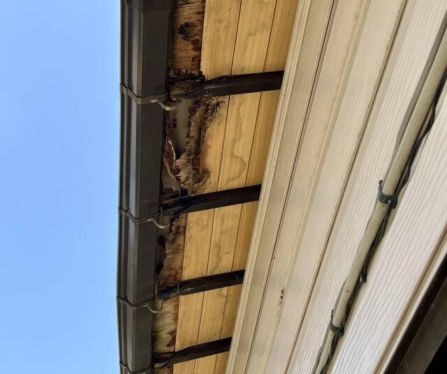 雨漏り発生時の応急処置方法と注意点